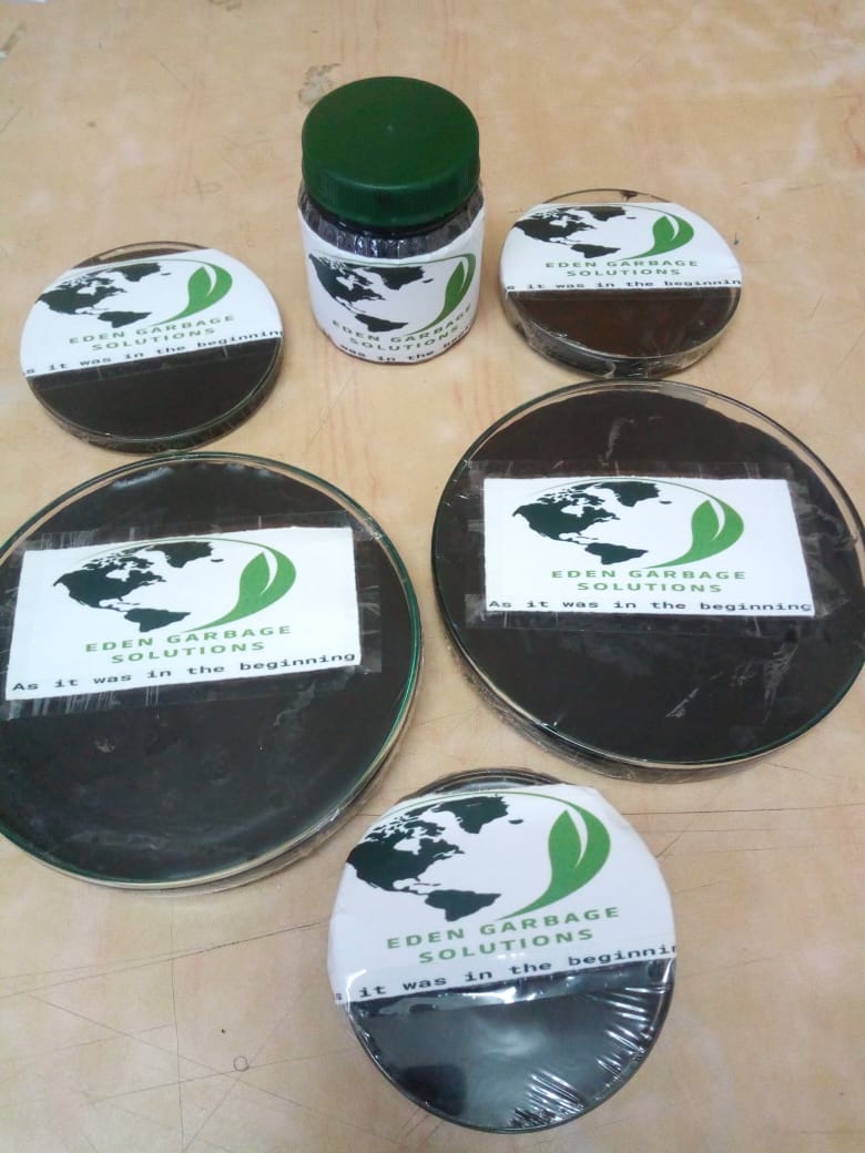 Eko Black Shoe Polish